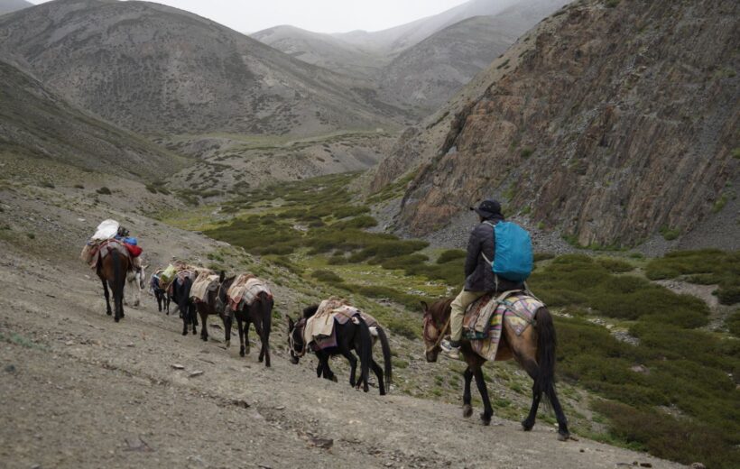 Rumtse Tsomoriri Trek